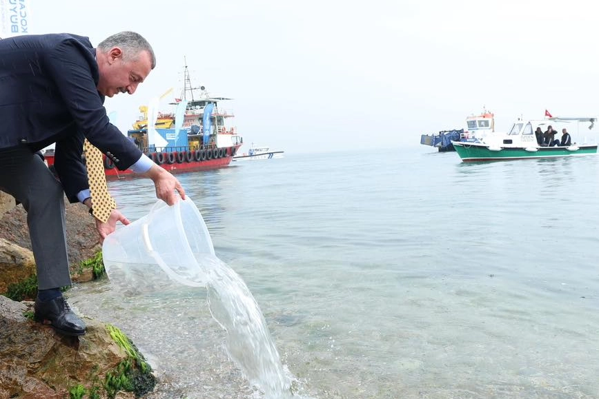 İzmit Körfezi’nde ekosisteme destek! 6 bin balık körfezle buluştu
