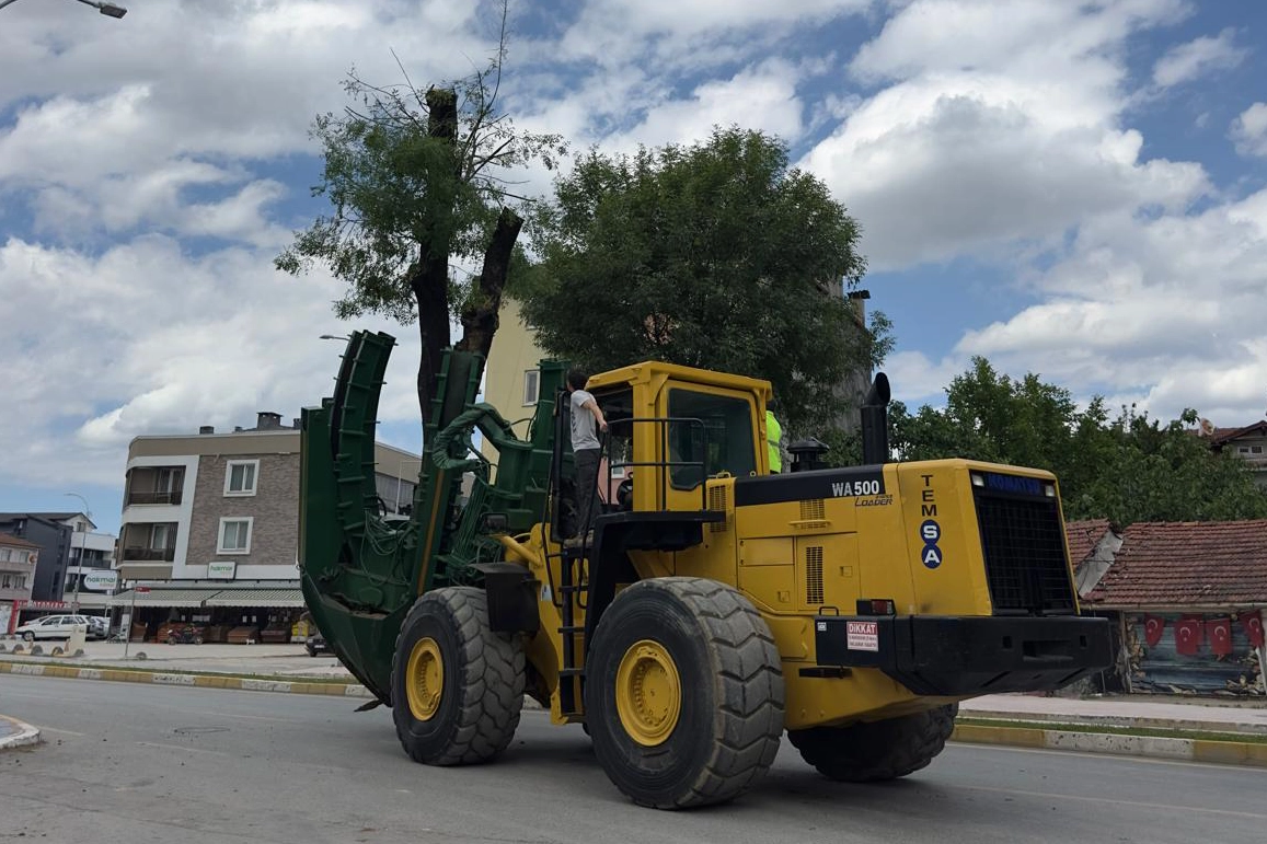 Sakarya sökülen her ağaç başka alanda yaşatılıyor