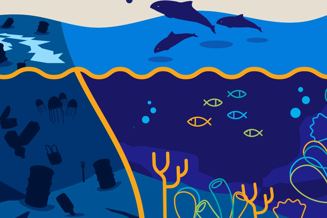 Marmara Denizi Günü bu yıl 3 Haziran’da 'ekosistem restorasyonu' temasıyla kutlanacak