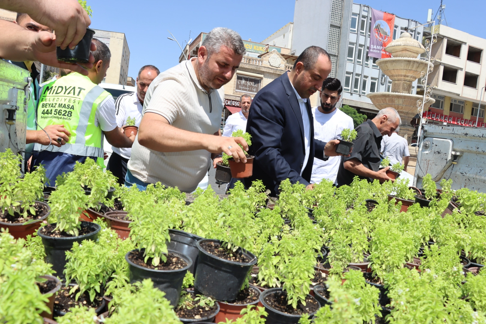 Mardin Midyat’ta fesleğen ve reyhan dağıtıldı