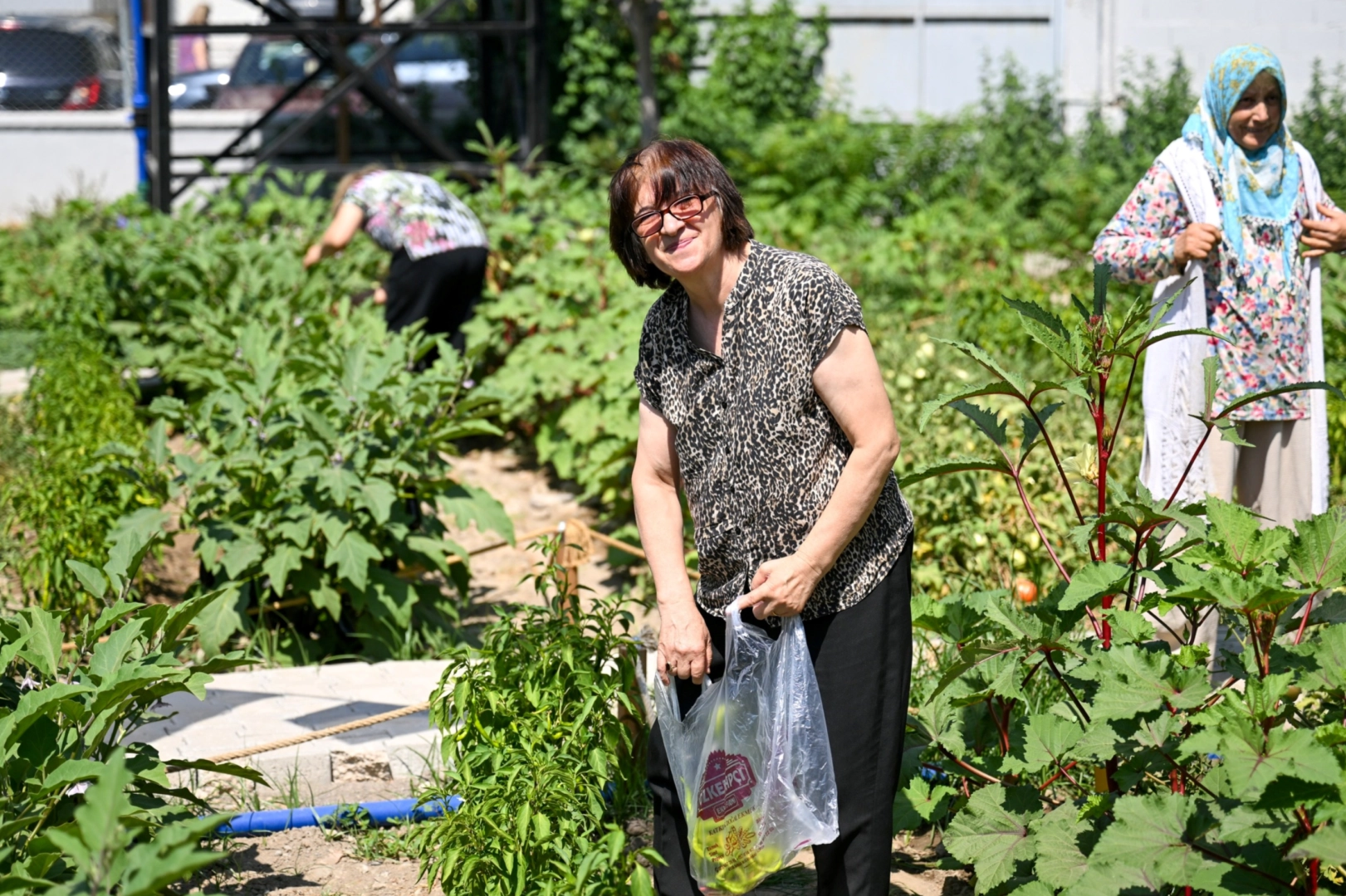 Bornova’da Kent Bostanları’nda hasat sevinci