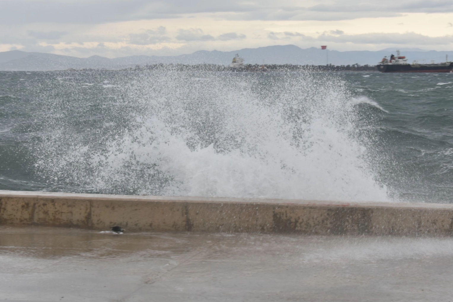 Bartın ve Zonguldak’ta dikkat! Denizler için uyarı geldi!