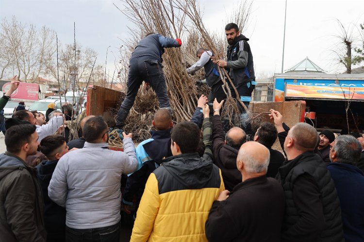Kayseri Hacılar’dan üreticiye fidan