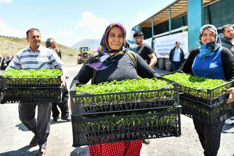 Depremzede çiftçilere 2 milyon fide hibe