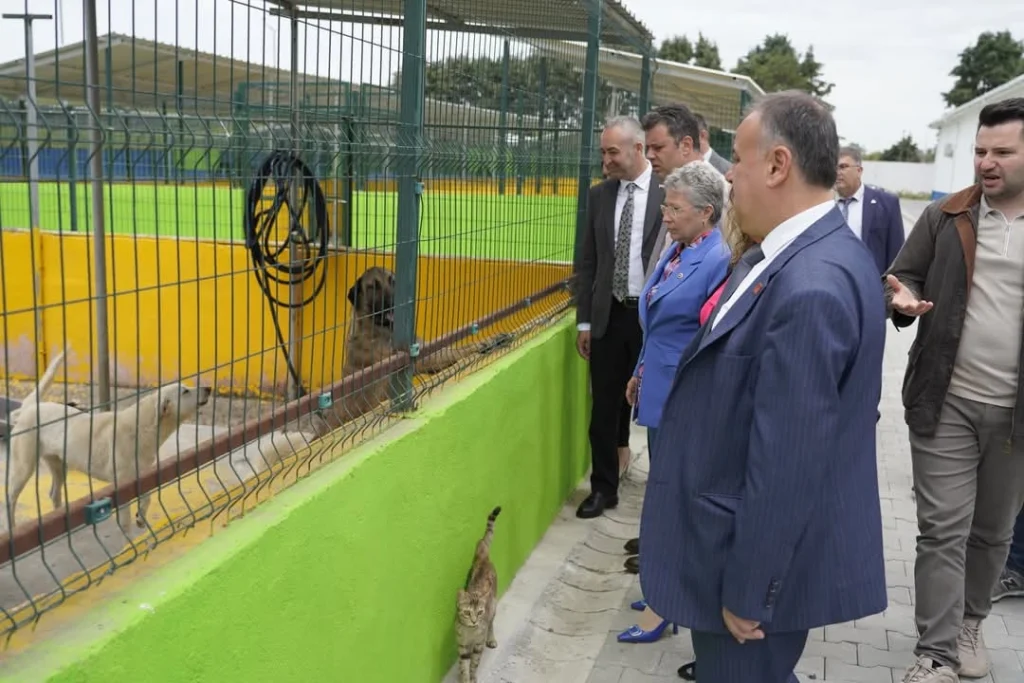 CHP’li Yontar’dan Çorlu’da ‘Hayvan Bakım Evi’ne ziyaret