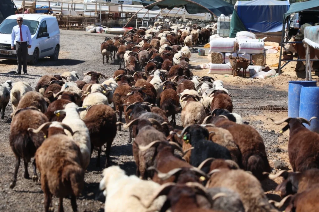 İzmir Karabağlar’da Kurban Bayramı öncesi örnek uygulama