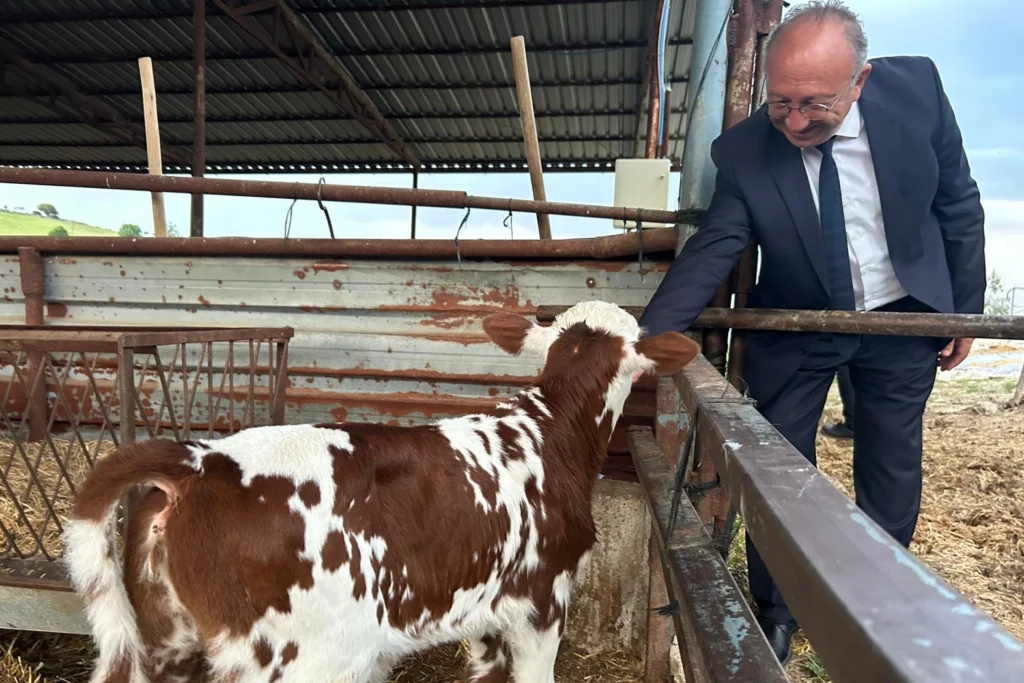 Manisa’da ‘tek dam projesi’ Selendi’de tanıtıldı