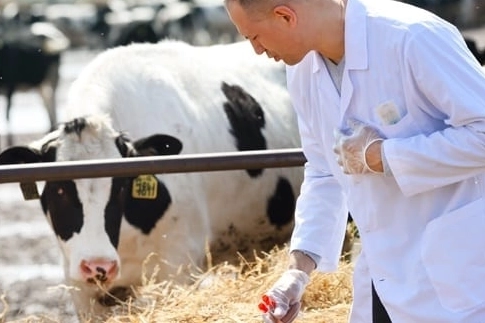 Tarımsal girdi Mart’ta yükseldi… Veteriner harcamaları revaçta