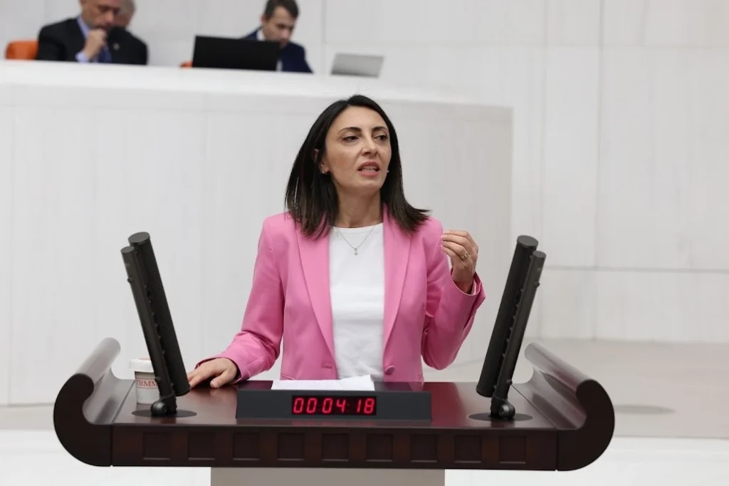 CHP’li Altaca Kayışoğlu’ndan TBMM’de sert eleştiri