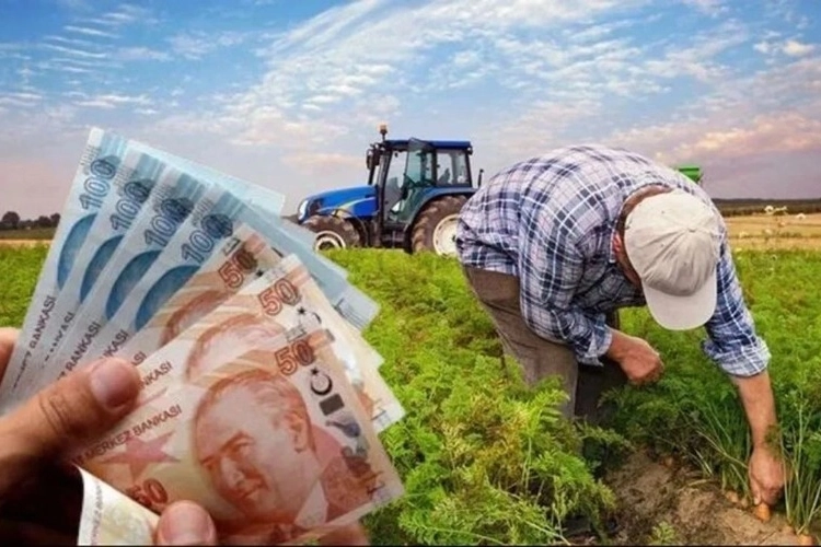 Çiftçilere 826 milyon TL’lik destek hesaplarda