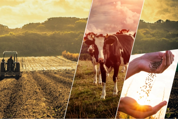 Çiftçiye 1,1 milyar TL’lik destek ödemesi başladı