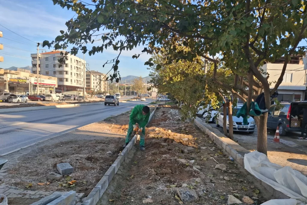 Muğla Milas’ın dört bir yanı yeşile bürünüyor